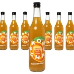 Kombucha mango 500ml 11 sztuk + 1 GRATIS